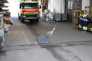 Hindernisfahren 2009
